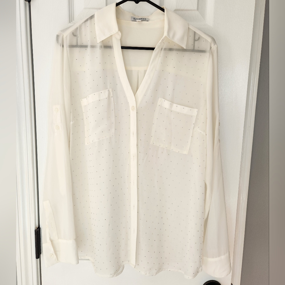 Express Sheer Blouse